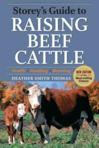 Feeding Beef Cattle: Tips for a Healthy, Pasture-Based Diet Image